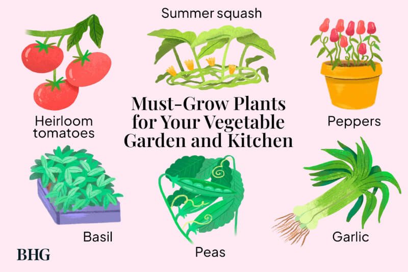 What Are The Best Vegetables To Grow For Healthy Garden Recipes