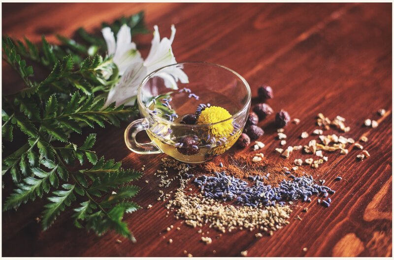 Healthy Garden Recipes For Homemade Herbal Teas And Infusions