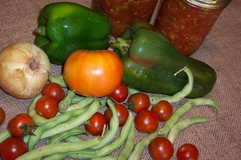 Healthy Garden Recipes For Making Homemade Salsas With Fresh Ingredients