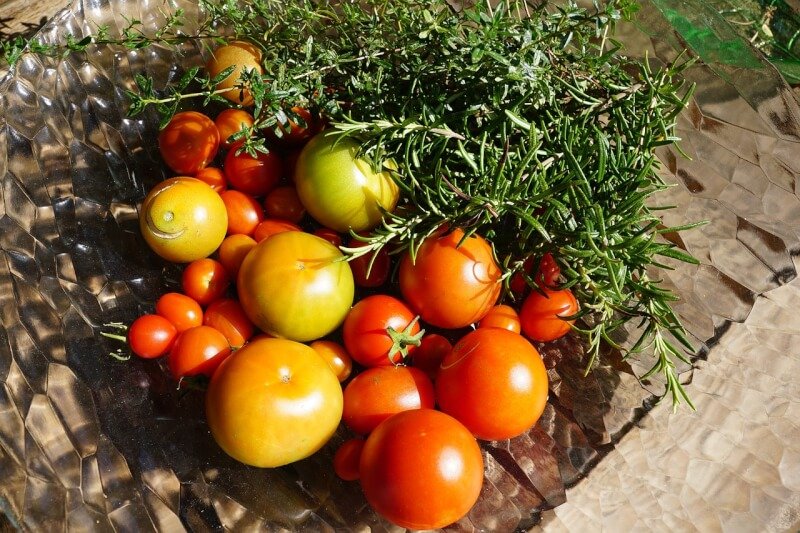 healthy garden recipes for preparing and preserving homemade salsas 6