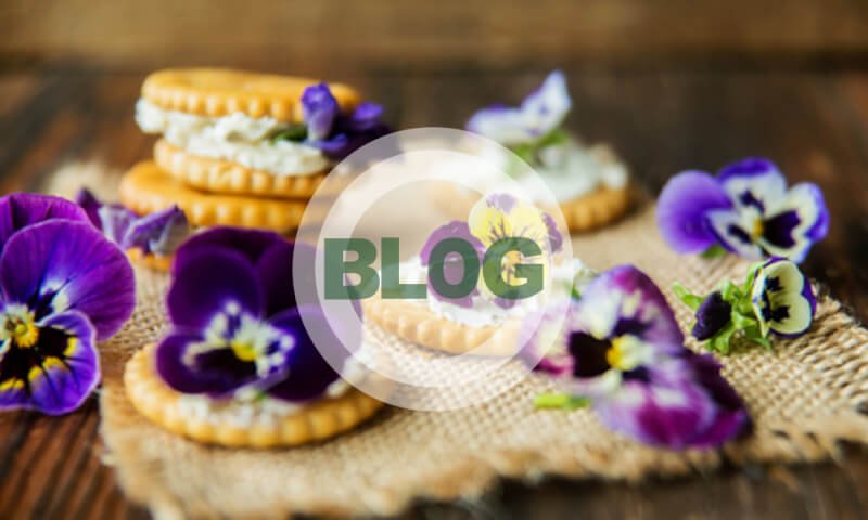 How To Create Your Own Edible Flower Garden For Culinary Creations