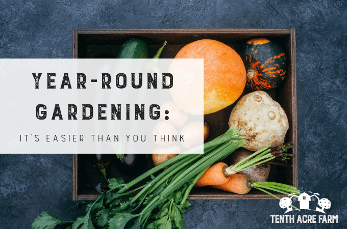 How To Plan A Seasonal Garden For Year-round Healthy Recipes