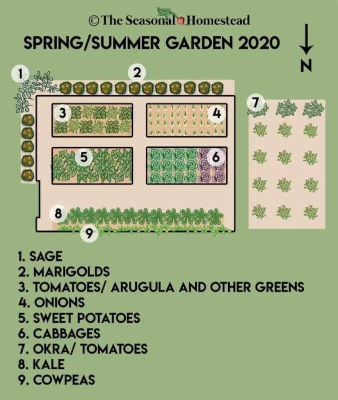How To Plan A Seasonal Garden For Year-round Healthy Recipes