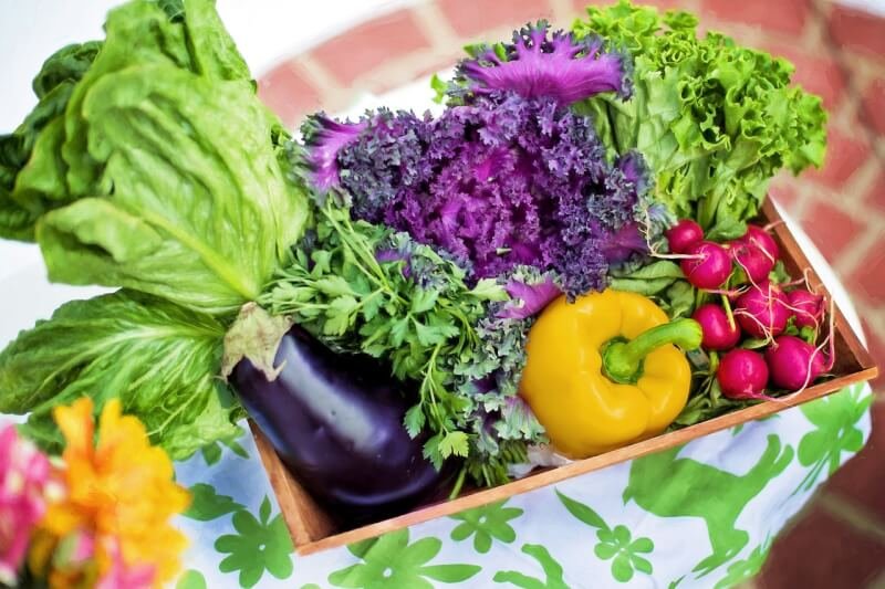 Best Ways To Preserve Your Garden Harvest For Year-Round Healthy Recipes