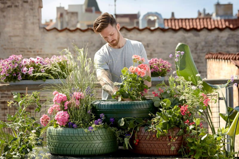 The Ultimate Guide To Container Gardening For Healthy Recipes